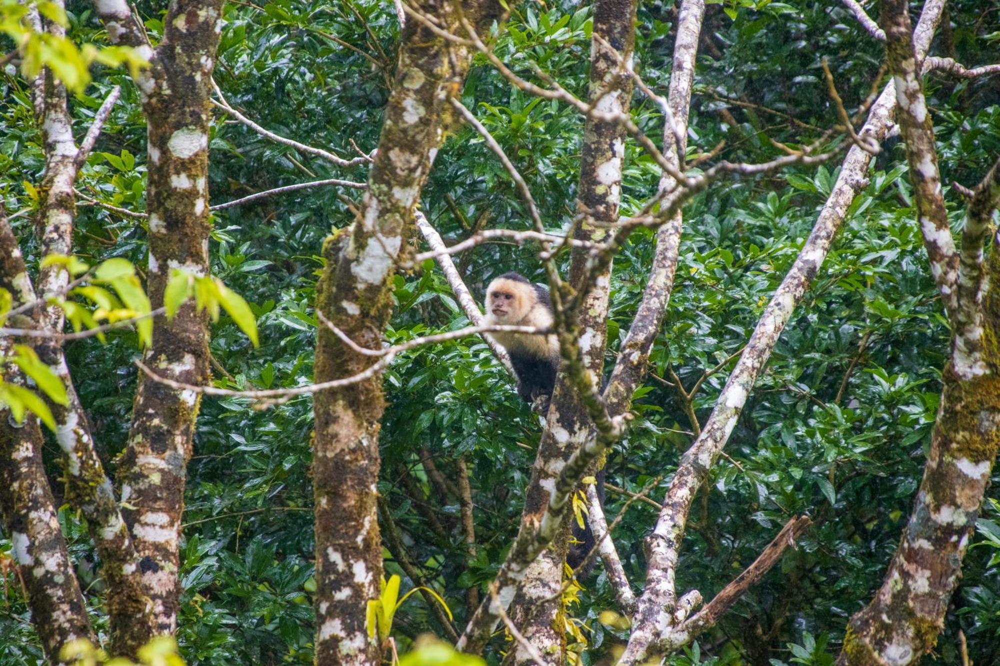 Aves De Tierras Altas Vila Bijagua Exterior foto
