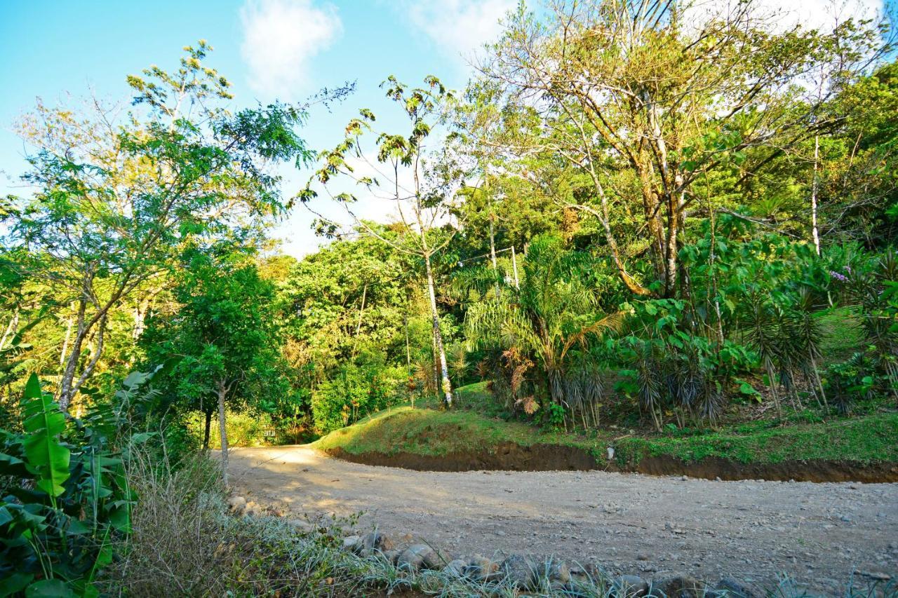 Aves De Tierras Altas Vila Bijagua Exterior foto