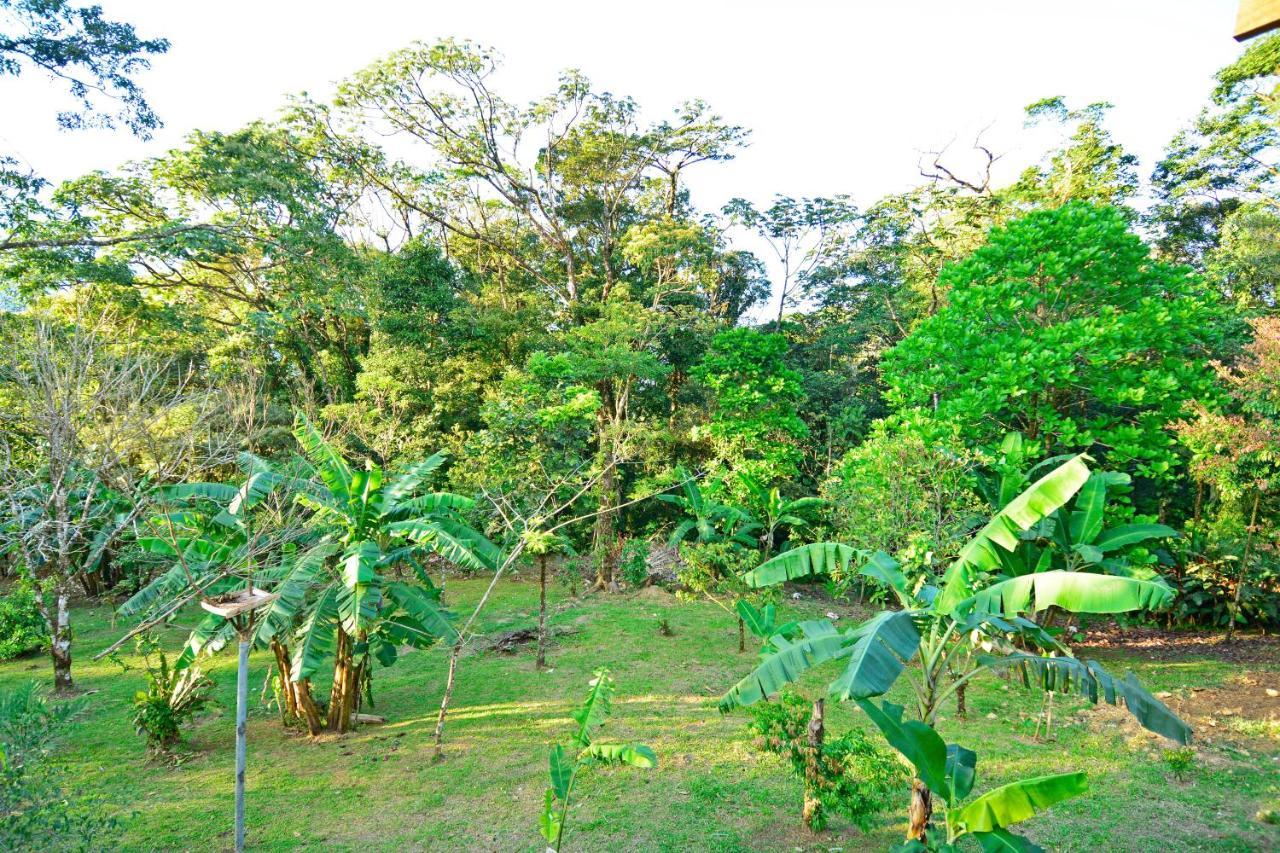 Aves De Tierras Altas Vila Bijagua Exterior foto