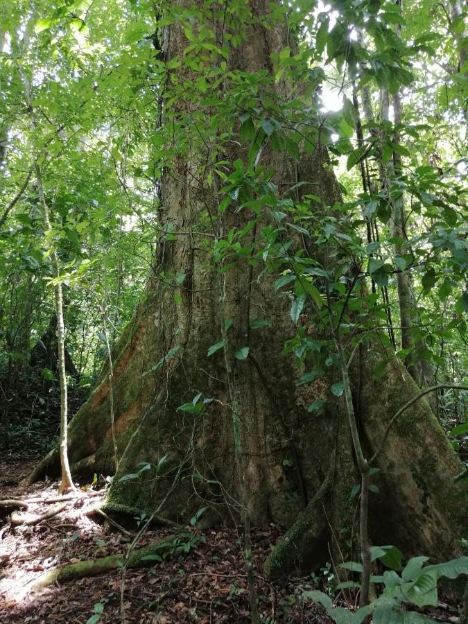 Aves De Tierras Altas Vila Bijagua Exterior foto